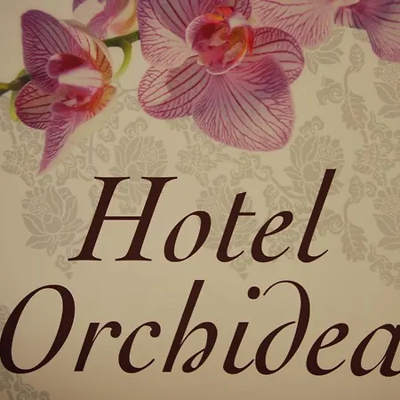 Orchidea 3*