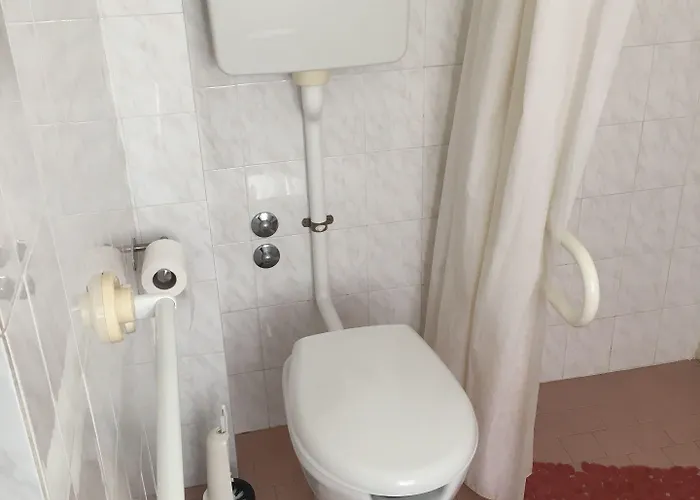Отель Orchidea 3*