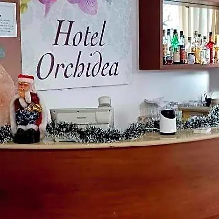 Orchidea 3*