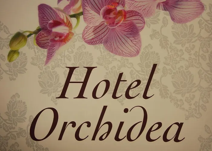 Orchidea 3*