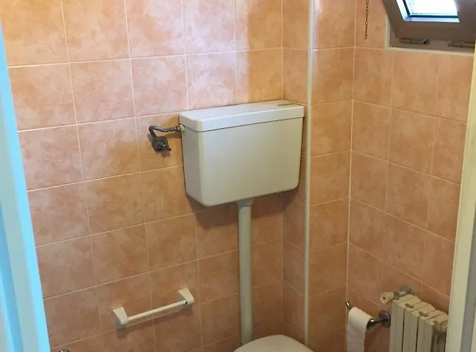 Orchidea Hotel Rimini