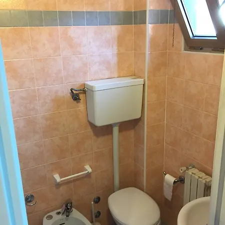 Orchidea Hotel Rimini